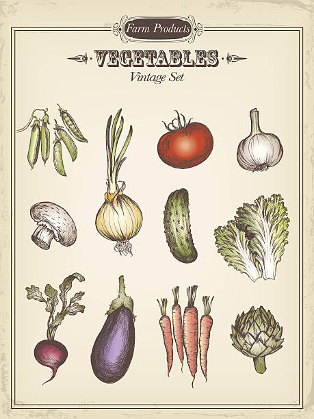 Farm products, vintage collection!