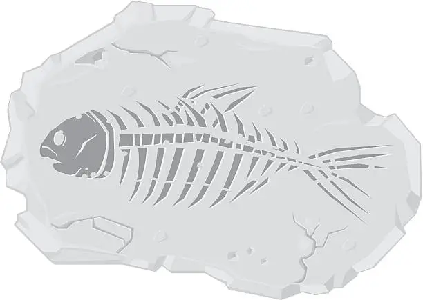 Vector illustration of Fossil