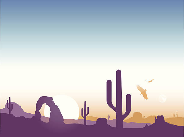 southwest cactus background - arizona illüstrasyonlar stock illustrations