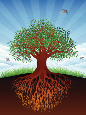 árbol de ramas y raíces clip art vector gratis árbol de ramas y raíces clip art vector gratis
