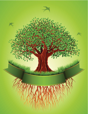 árbol de ramas y raíces clip art vector gratis