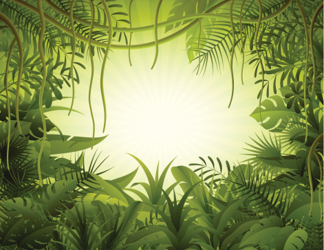 Tropical forest background. High Resolution JPG,CS5 AI and Illustrator EPS 8 included. Each element is named,grouped and layered separately.