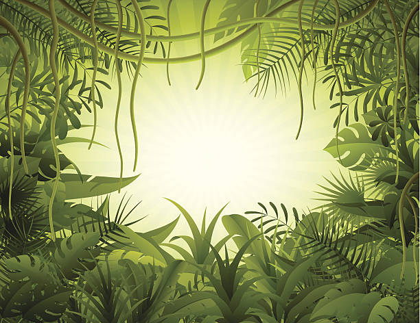 Rain forest Tropical forest background. High Resolution JPG,CS5 AI and Illustrator EPS 8 included. Each element is named,grouped and layered separately. liana stock illustrations