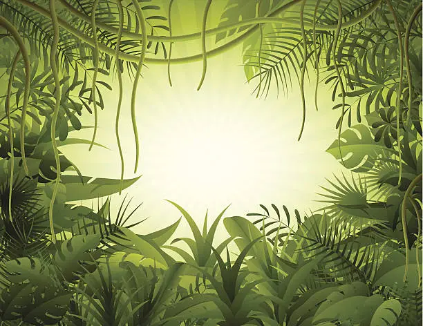 Vector illustration of Rain forest