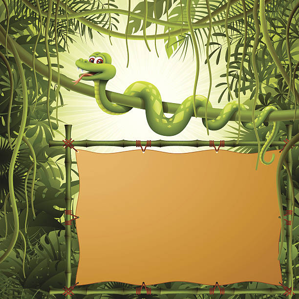 schlange mit bambus-banner in den dschungel - snake wildlife tropical rainforest reptile stock-grafiken, -clipart, -cartoons und -symbole