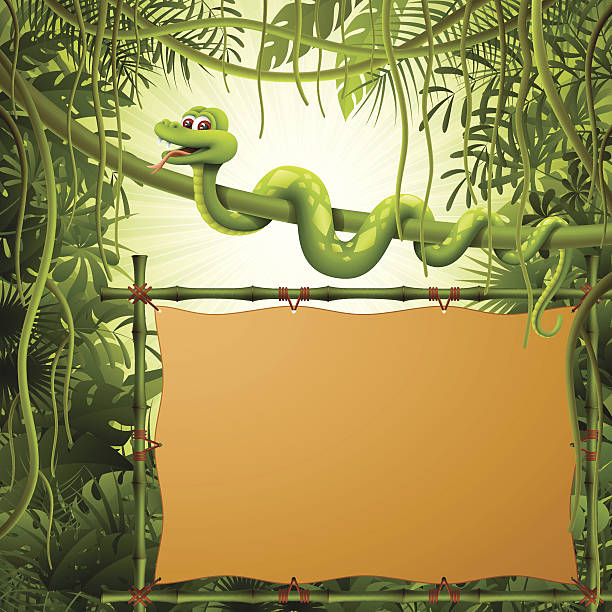 스네이크 대나무 배너입니다 에서 정글 - tropical climate banner placard bamboo stock illustrations