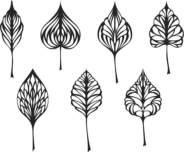 Set of leaves Seven different ornate black leaves for your design isolated on white background. EPS 8. aspen leaf stock illustrations