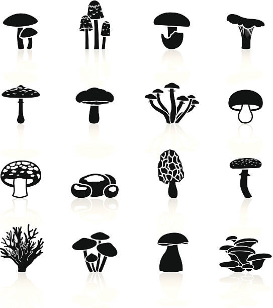 illustrazioni stock, clip art, cartoni animati e icone di tendenza di nero simboli-funghi commestibile - fungo