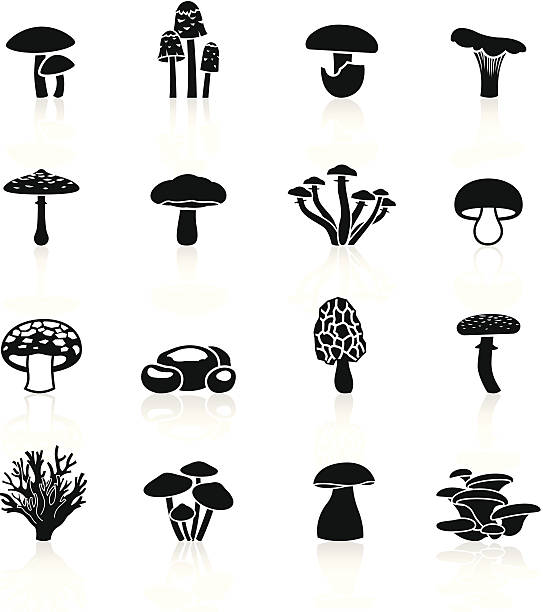 ilustrações de stock, clip art, desenhos animados e ícones de preto símbolos-comestíveis de cogumelos - edible mushroom illustrations