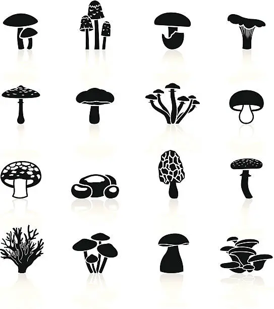 Vector illustration of Black Symbols - Edible Mushrooms