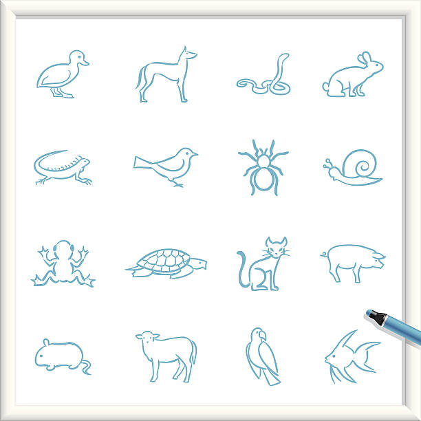 Sketch Icons - Pets Illustration of Pets Icons. The icons are made of flat shapes, no brushes and strokes. blue tarantula stock illustrations