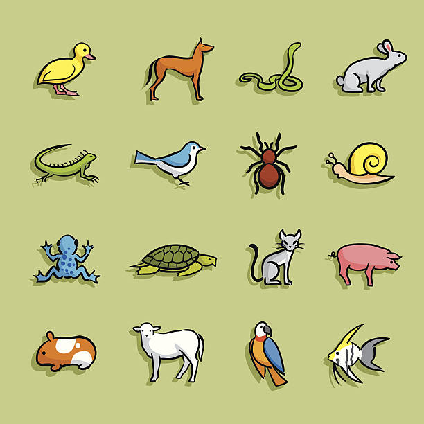 illustrazioni stock, clip art, cartoni animati e icone di tendenza di fumetto di icone di animali domestici - color image dog snake pets