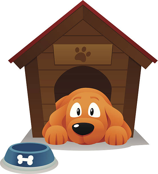 Dog house Dog laying on his kennel waiting for food. kennel stock illustrations