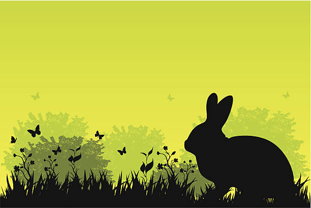 Rabbit in grass vector file of rabbit in grass easter silhouettes stock illustrations