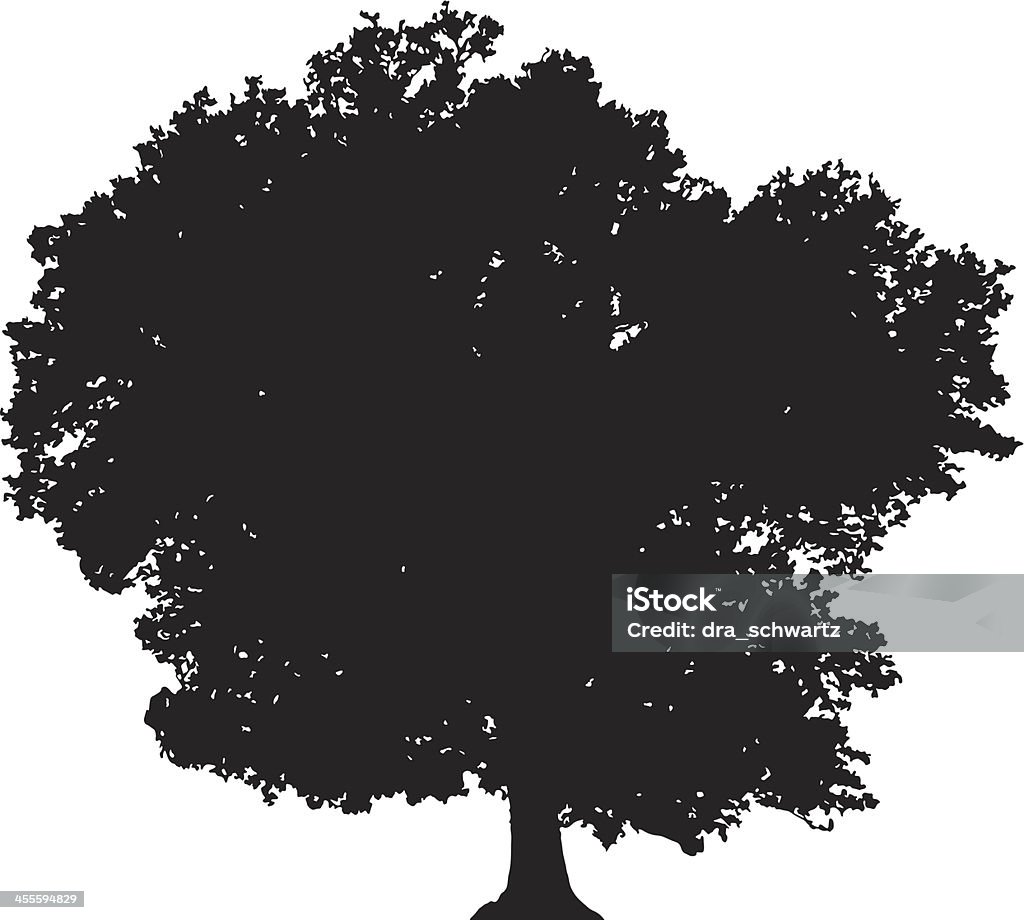 silhouette de vecteur Arbre à feuilles caduques - clipart vectoriel de Sycomore libre de droits