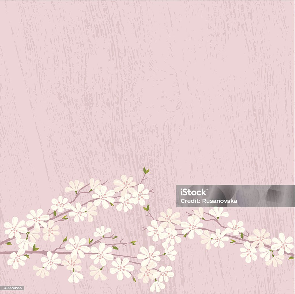 Cherry Blossom Cherry Blossom on pink wooden background. Vector. EPS 8. Cherry Blossom stock vector