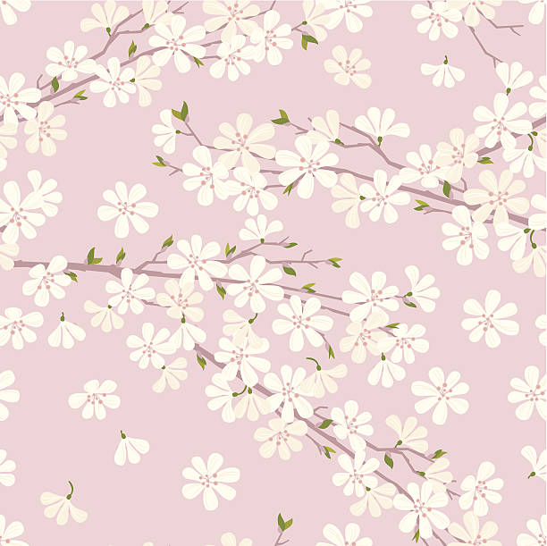 ilustrações, clipart, desenhos animados e ícones de padrão de flor de cerejeira - pattern blossom seamless old fashioned