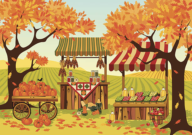 ilustraciones, imágenes clip art, dibujos animados e iconos de stock de cosecha de otoño - plowed field field fruit vegetable