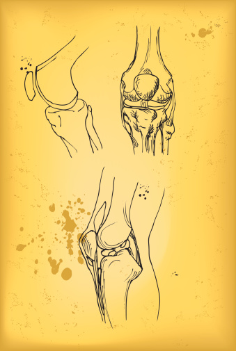 Hand drawn knee joint anatomy - retro gunge style pen and ink