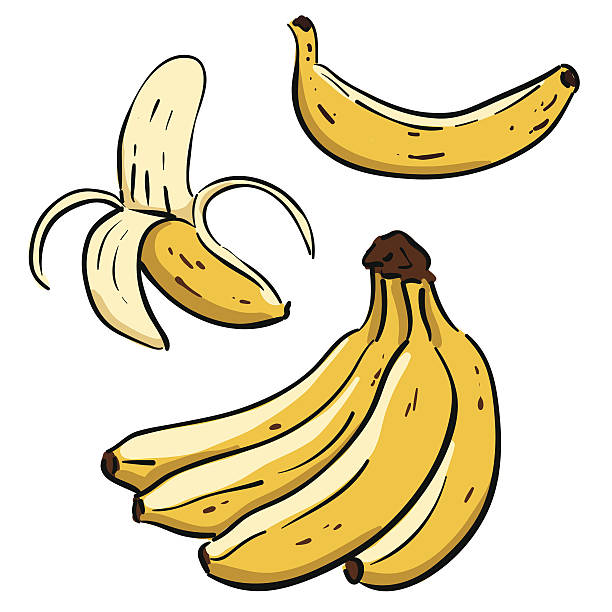 illustrations, cliparts, dessins animés et icônes de main tiré bananes - banane