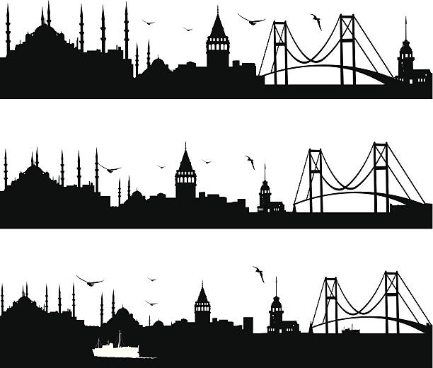 skyline von istanbul - bosporus stock-grafiken, -clipart, -cartoons und -symbole