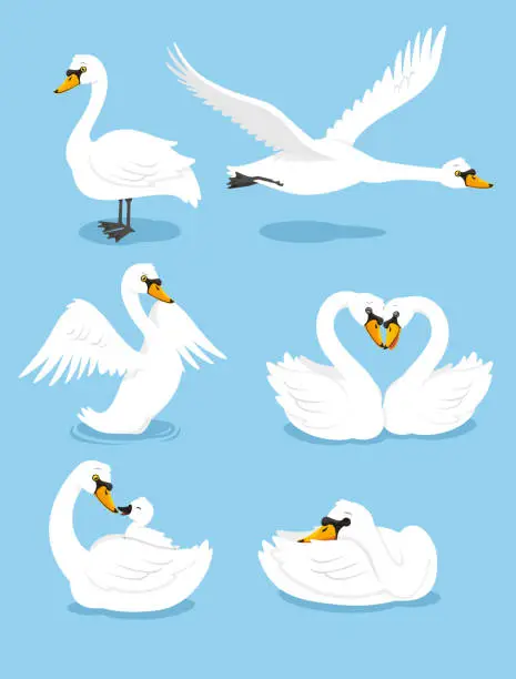 Vector illustration of White Swan Wing Water Animal Bird Elegance Grace Set