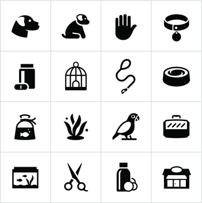 Pet store/shop icons. All white strokes/shapes are cut from the icons and merged allowing the background to show through.