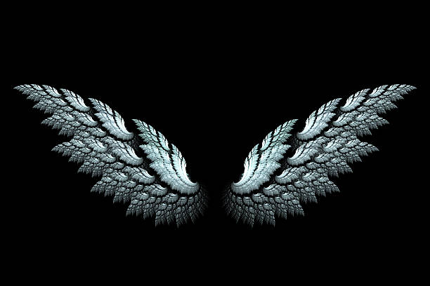 istock White angel wings made with fractal design on black 455601945