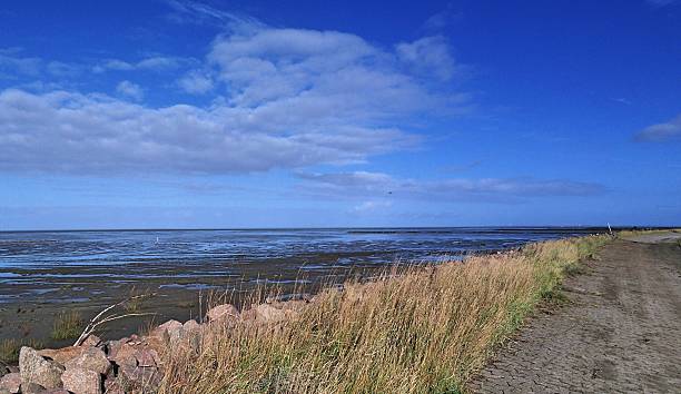 istock Coast of the North Sea 455605357