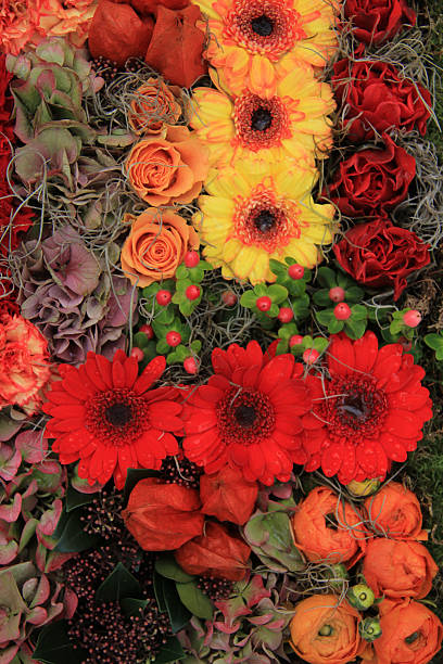 istock Autumn flower arrangement 455607197