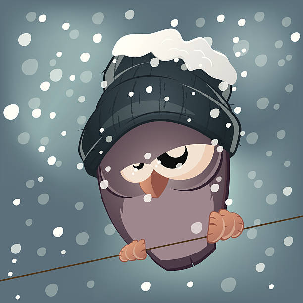 zwarzony ptak w zimie - zwarzony stock illustrations