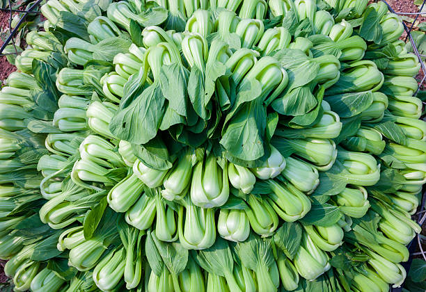 cabbages