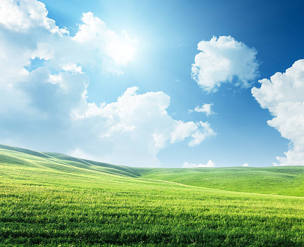 istock field of spring grass and sunny day 455607829