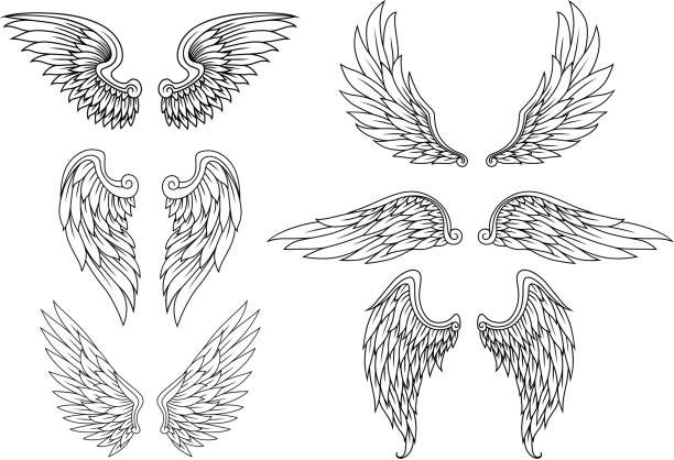 Heraldic wings set Heraldic wings set for tattoo or mascot design angels tattoos stock illustrations