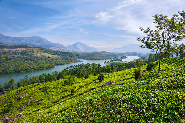 istock Lake in a tea plantation, Munnar, Kerala, India. 455610797