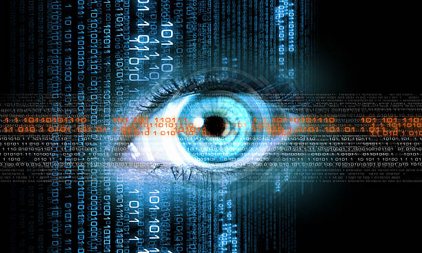 istock Digital image of woman's eye. Security concept 455614435