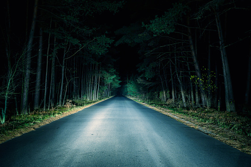 Paved road going through woods at night