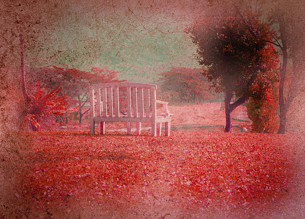 vintage bench,texture technical stock photo