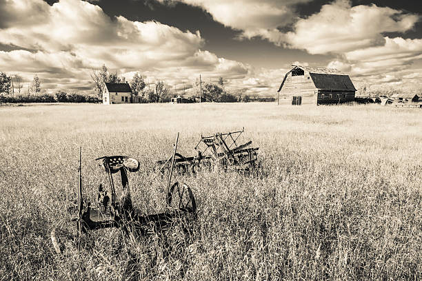 Old Farm Yard An old farm yard on the Canadian Prairies. Taken with an infared monochrome sepia filter. barn photos stock pictures, royalty-free photos & images