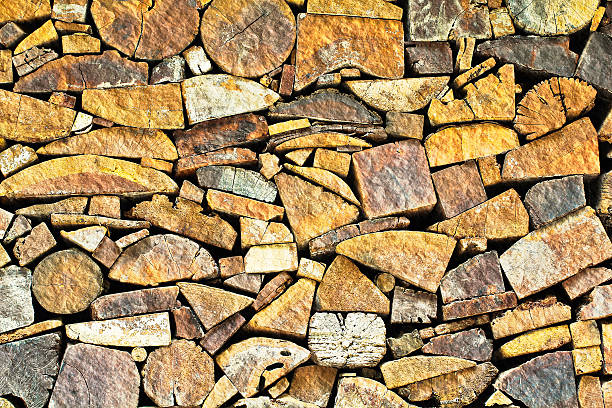 tree stumps  surface stock photo