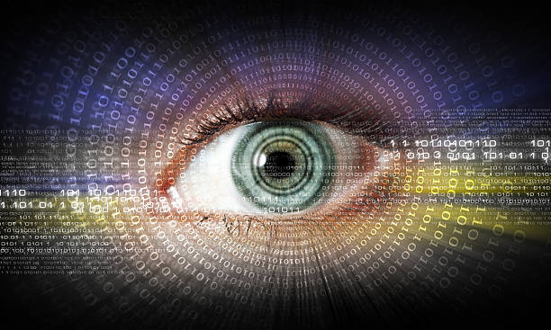 istock Digital image of woman's eye. Security concept 455628547