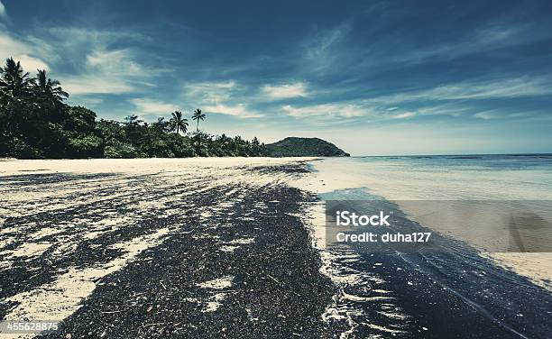 Rain Forest In Australia Stock Photo - Download Image Now - Australia, Beach, Cape Tribulation