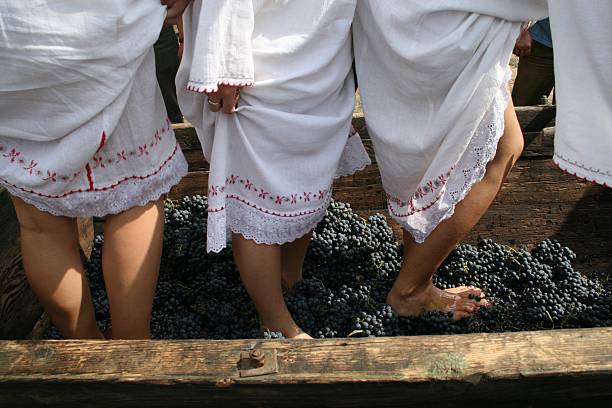 En primer lugar, la producción tradicional de vino - foto de stock