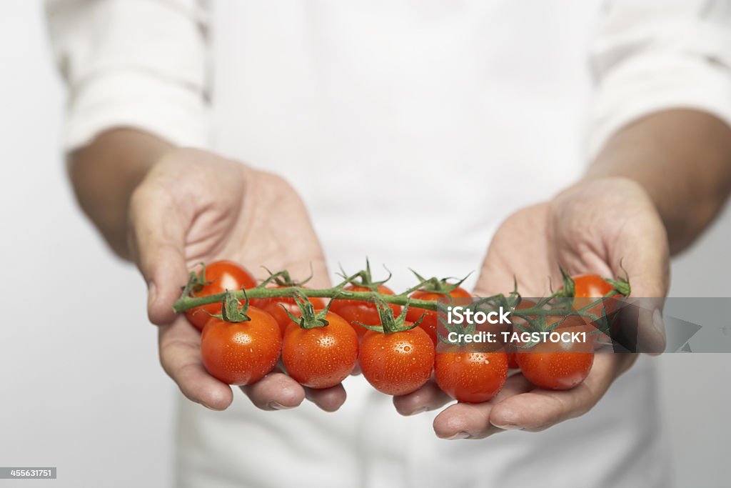 Chef exploração tomates na vinha (mid secção) - Royalty-free 35-39 Anos Foto de stock