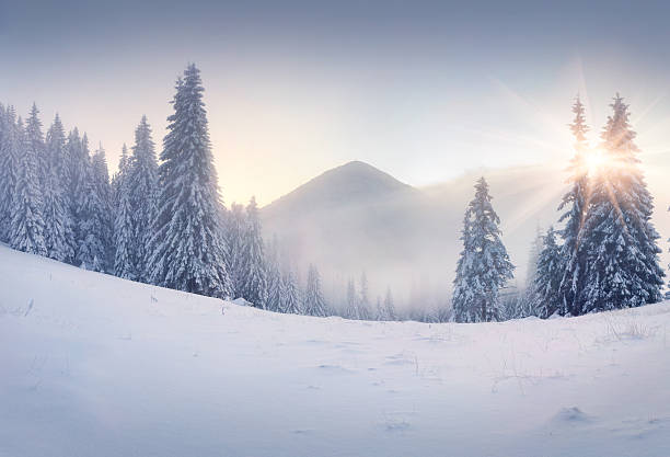 istock Foggy winter sunrise in the mountains 455634247