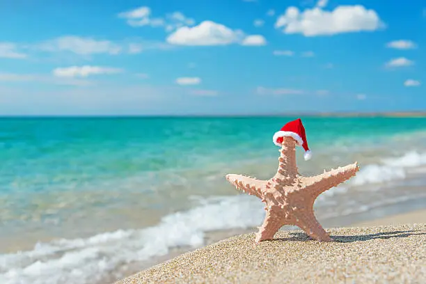 Sea-star in red santa hat at sea sandy beach. Holiday concept for New Years day and Christmas.