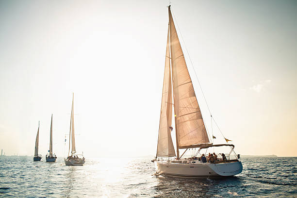 범선 요트 하얀 돛 - sailboat sports race sailing yacht 뉴스 사진 이미지