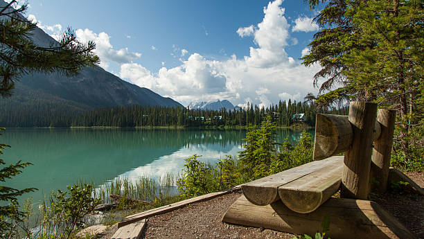 istock Wooden Bench overlooking Emerald Lake 455638129