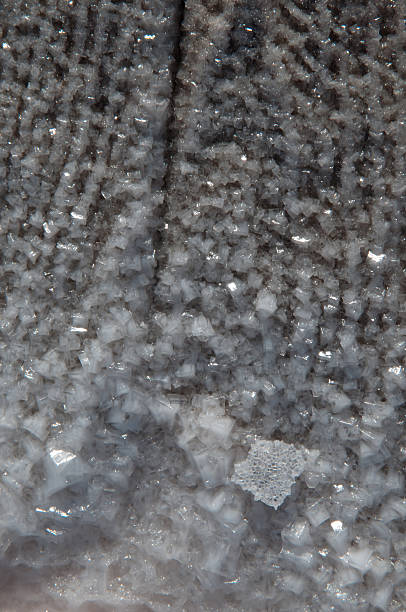 crystals of salt Salt crystals has covered a wood. This is a natural salt overgrowth. tetragon stock pictures, royalty-free photos & images