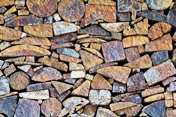 tree stumps  surface stock photo